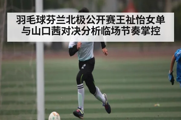 羽毛球芬兰北极公开赛王祉怡女单与山口茜对决分析临场节奏掌控 | NG28