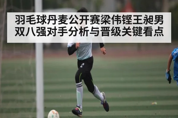羽毛球丹麦公开赛梁伟铿王昶男双八强对手分析与晋级关键看点 | NG28